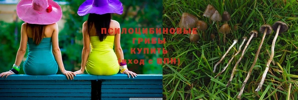 бошки Горняк