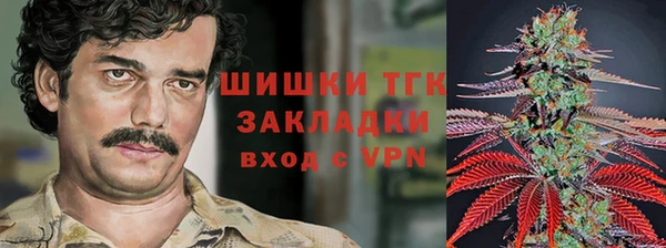индика Гусь-Хрустальный