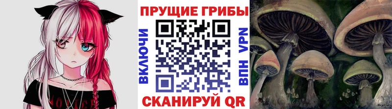 Псилоцибиновые грибы мицелий  Купить  Магас 