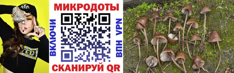 Псилоцибиновые грибы Psilocybine cubensis Магас